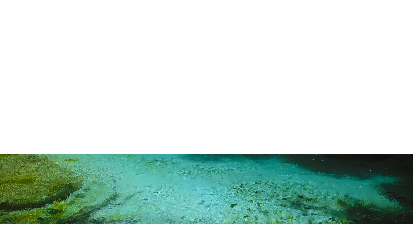 Blue Eye Lower Third 12