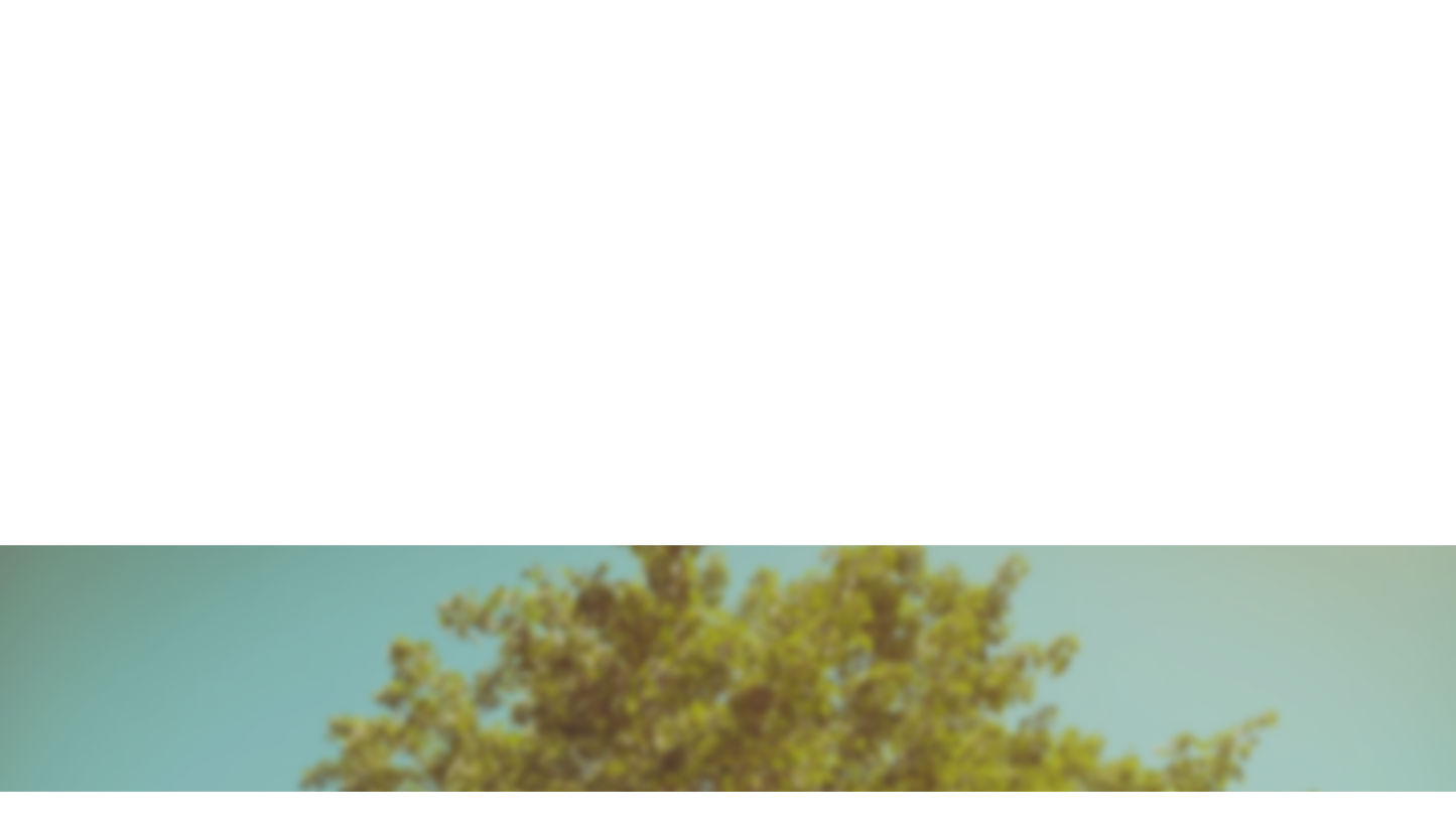 Summer Bright Lower Third Full 3