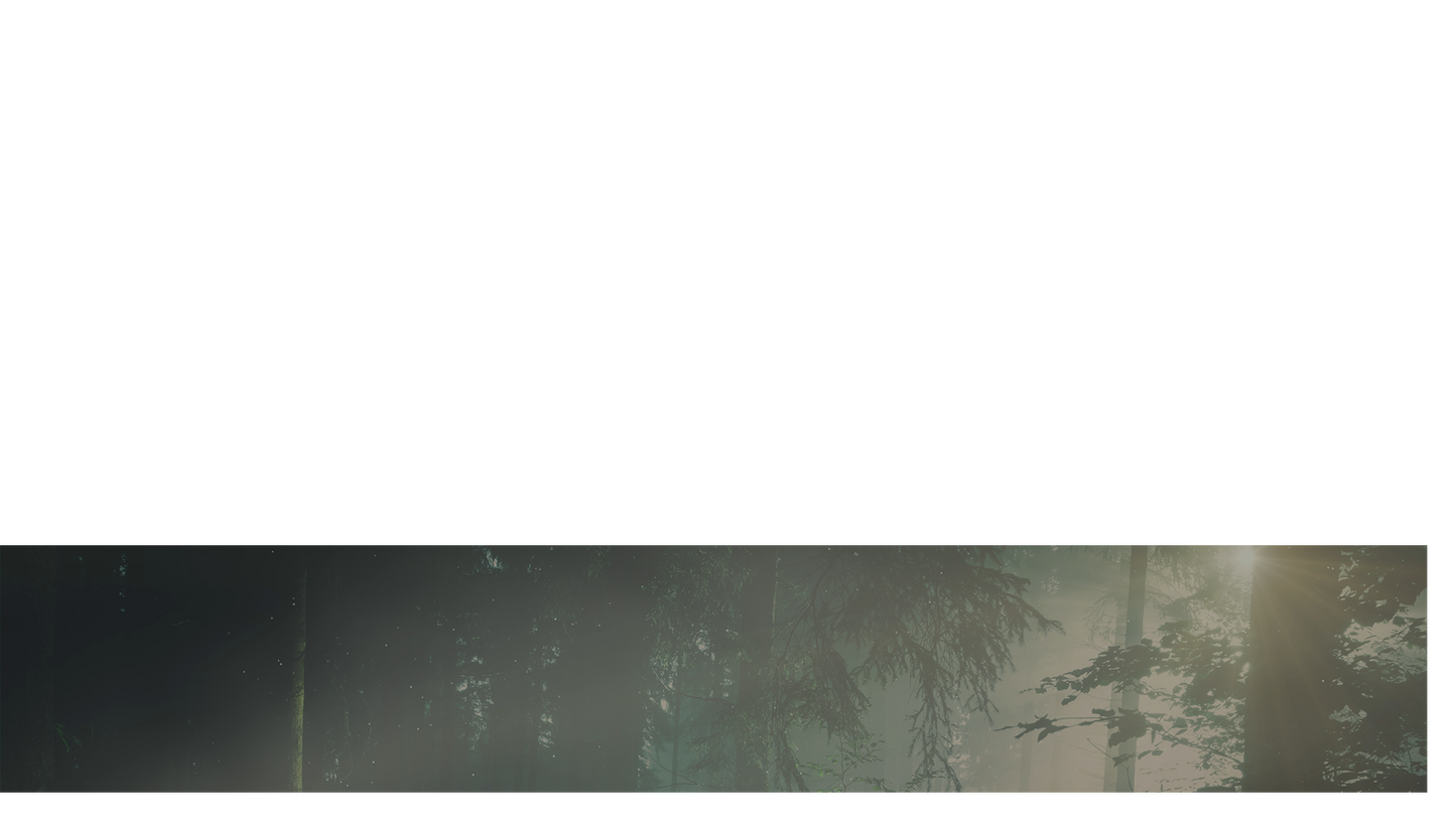 Lumberjack Dad Lower Third 1