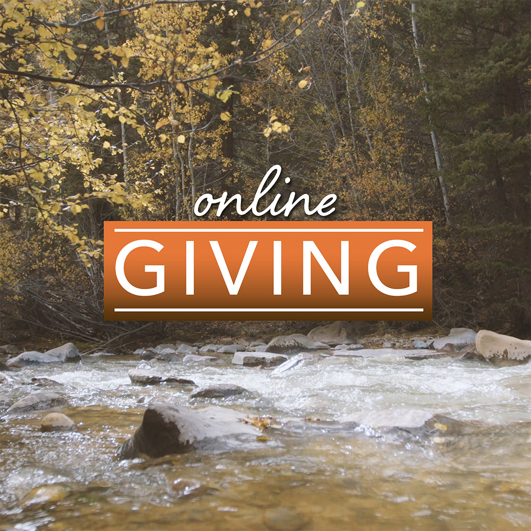 Online Giving Mountain Hike