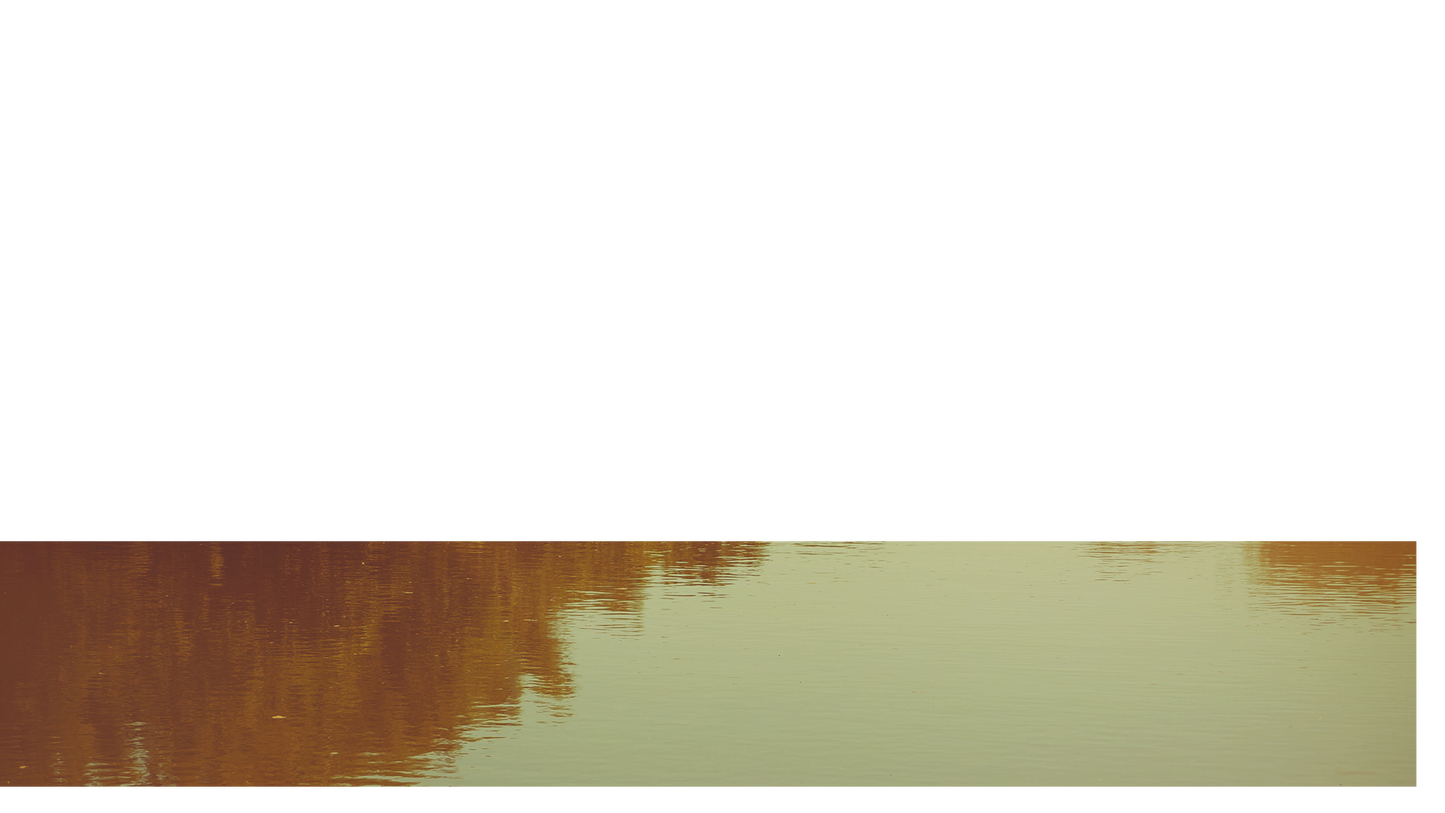 Summer Bright Lower Third 2