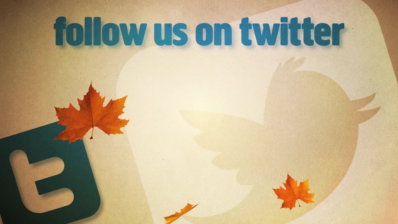 Twitter Fall Still