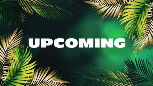 Vibrant Palms Upcoming