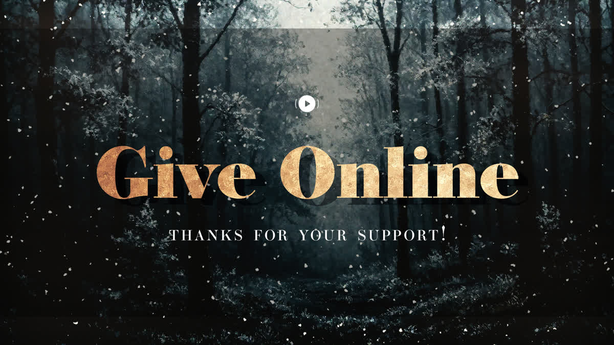 Snow Day Give Stream