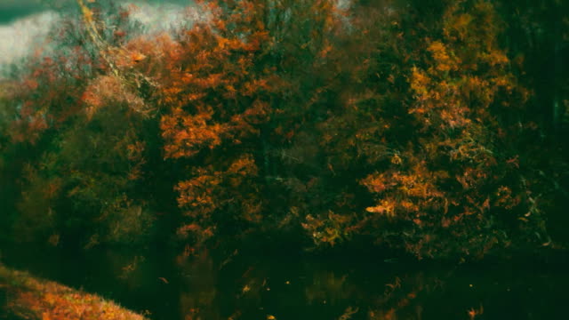 Autumn Vibes 5