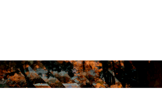 Autumns End Lower Third 2