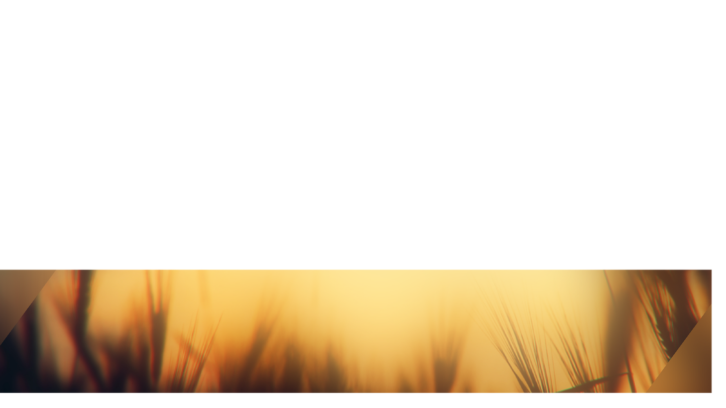 Days End Lower Third 1