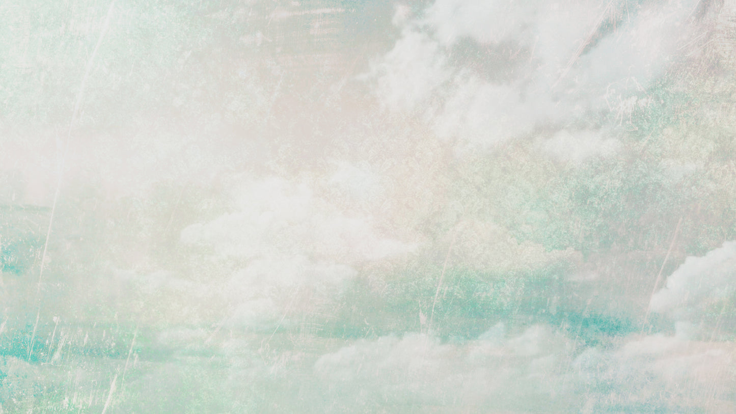 Sky Shine Blank