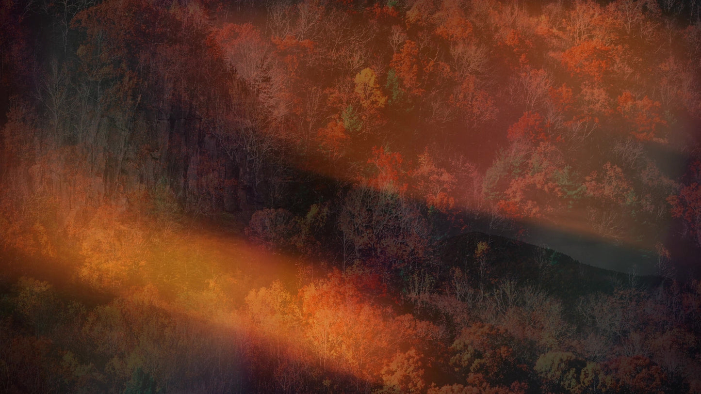 Subtle Fall 01