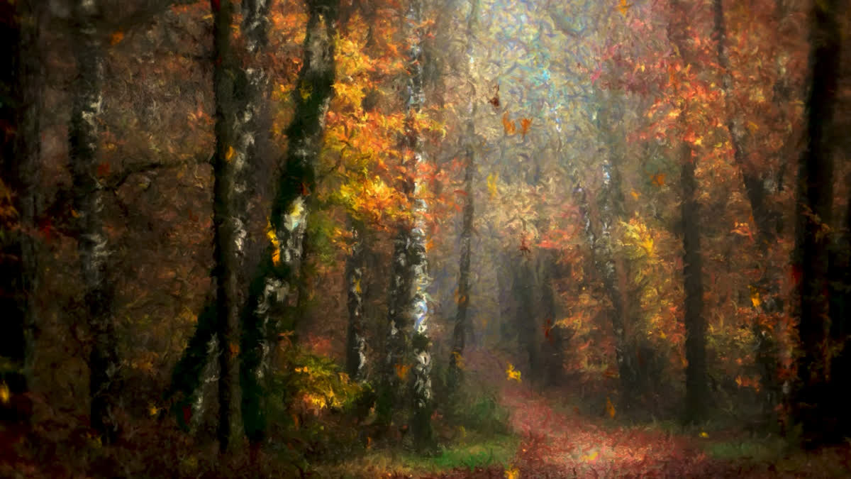 Autumn Vibes 10