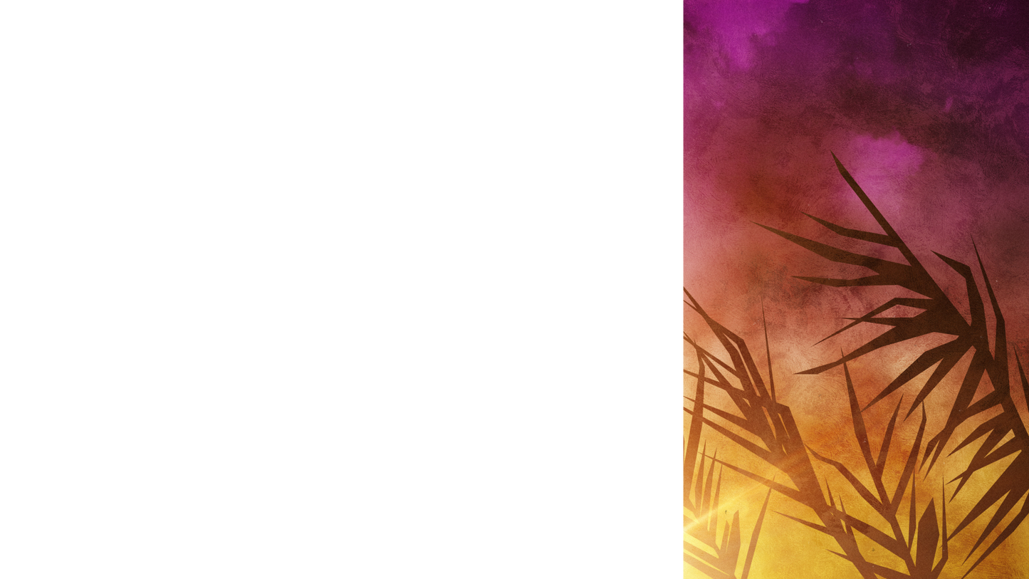 Bright Palm Sunday Lower Third Right Blank