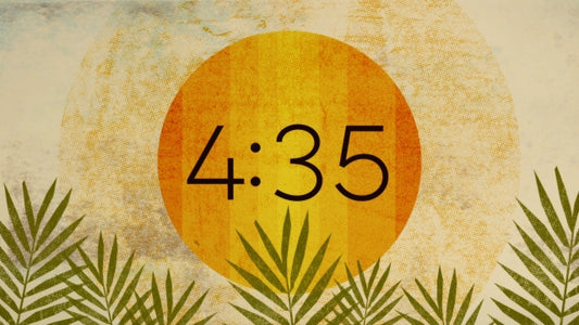 Textured Palms Countdown