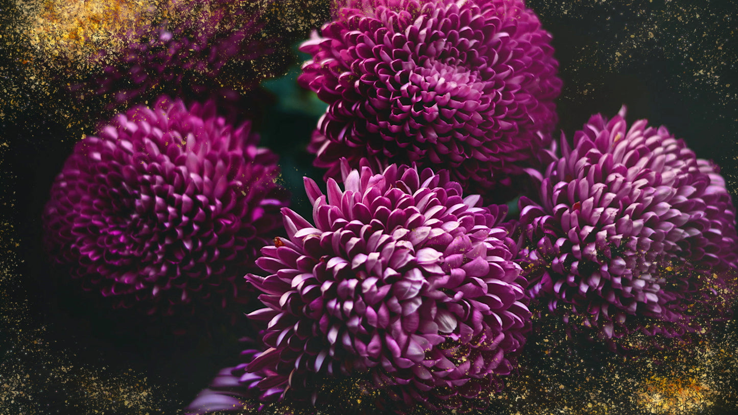 Spring Gold Purple