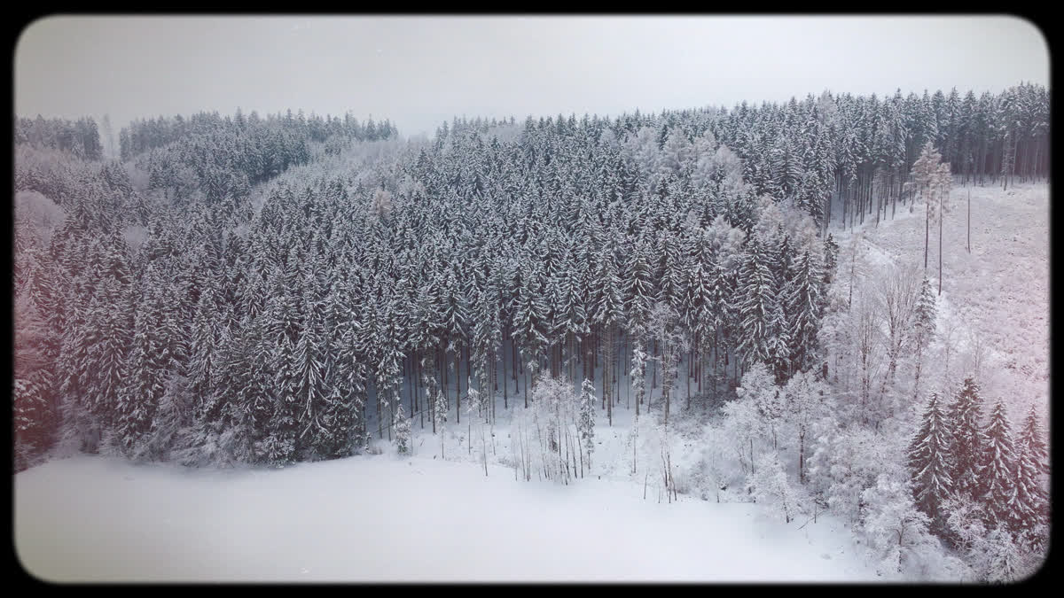 Retro Winter 03