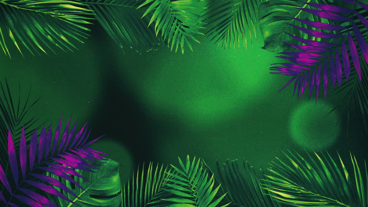 Vibrant Palms 6