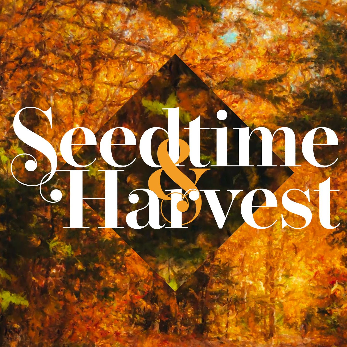 Autumn Vibes Title