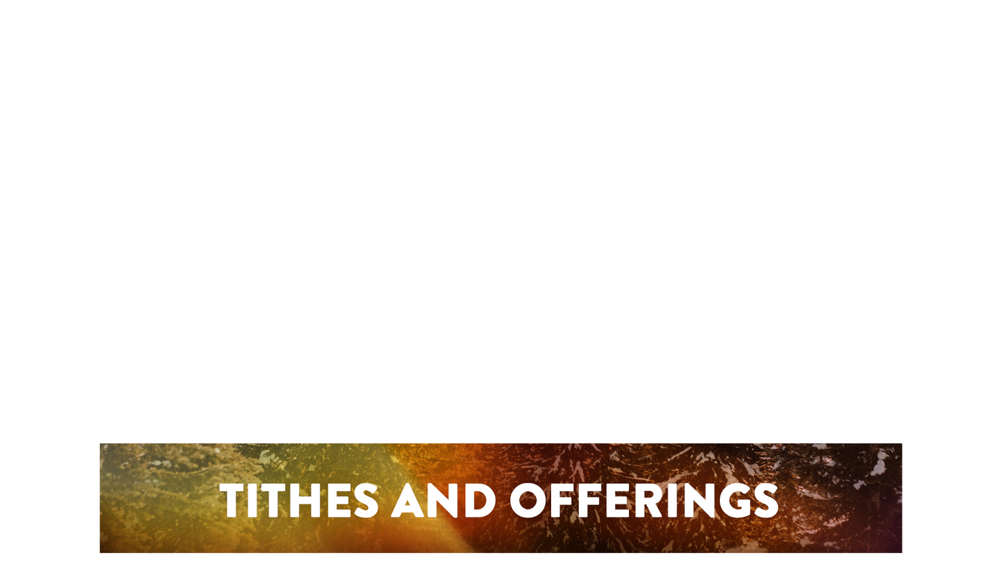 Christmas Light Lower Third Tithes Offering