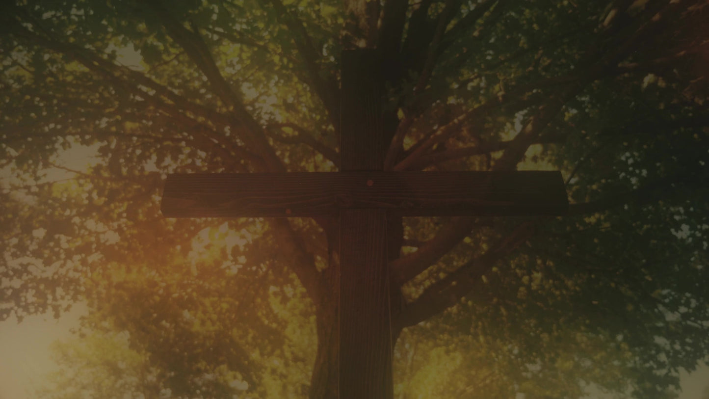 Nature Cross 10 Alt
