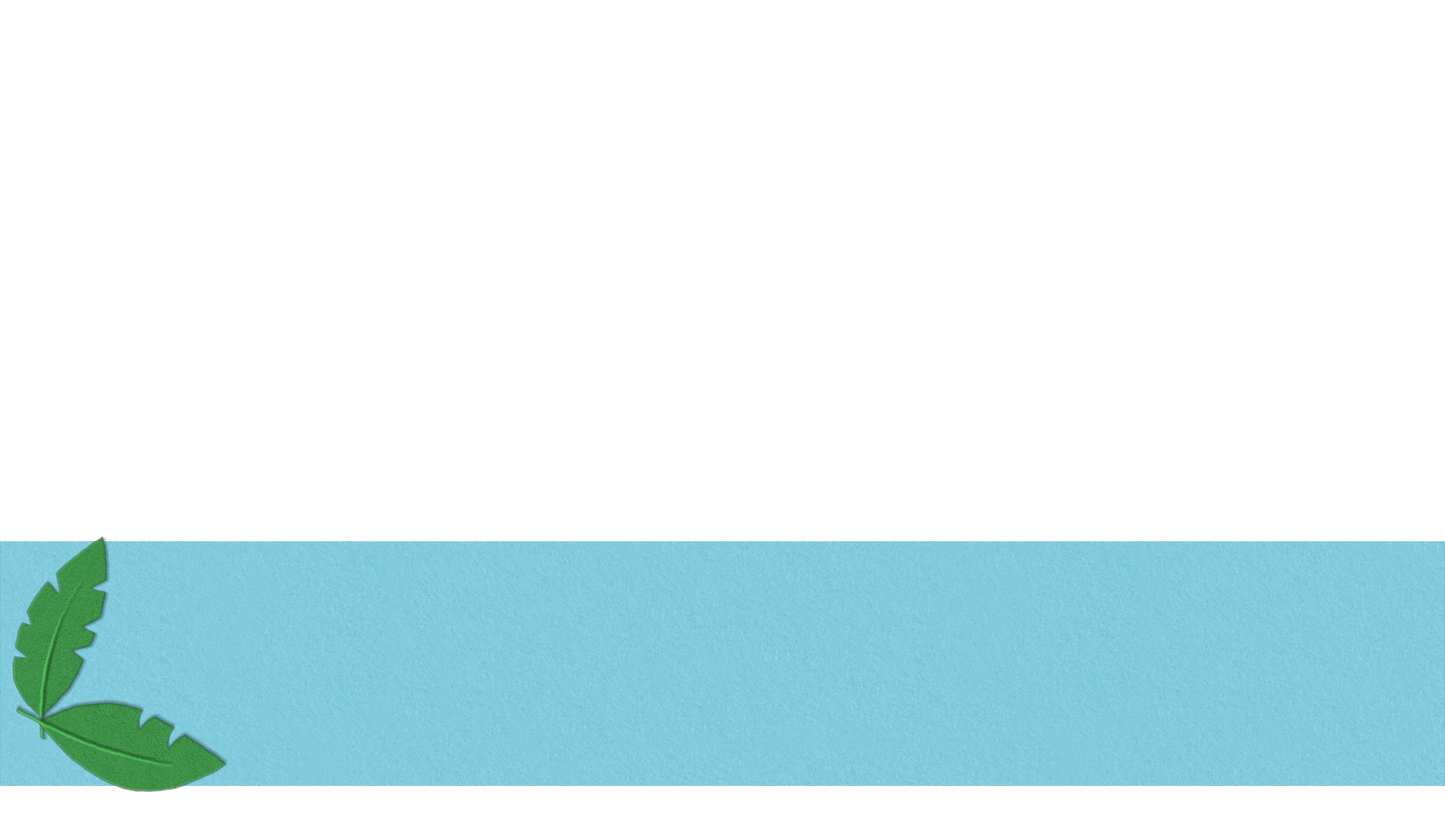 Palm Sunday Flannelgraph Lower Third Full 3