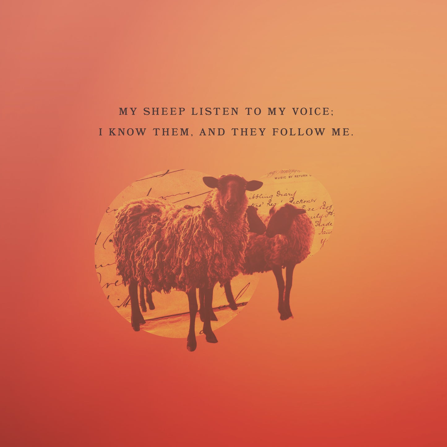 John 10:27
