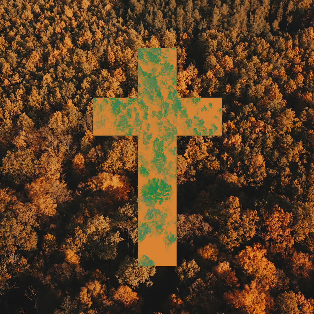 Autumn Foliage Cross
