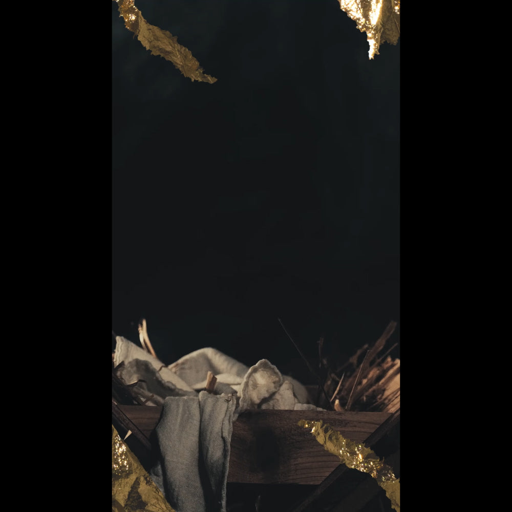Nativity Manger Giving Blank Reel