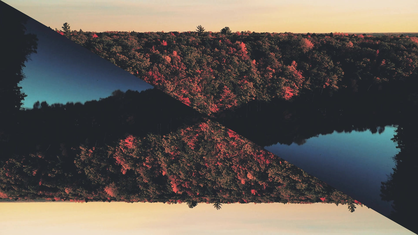 Foliage Remixed 11