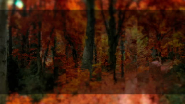 Autumns End 7 Alt