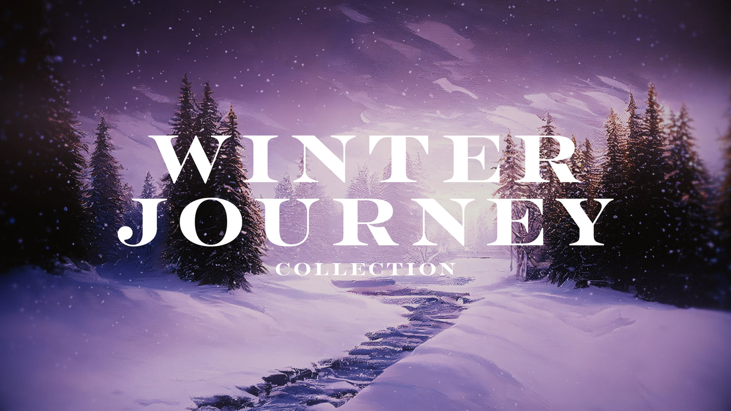 Winter Journey