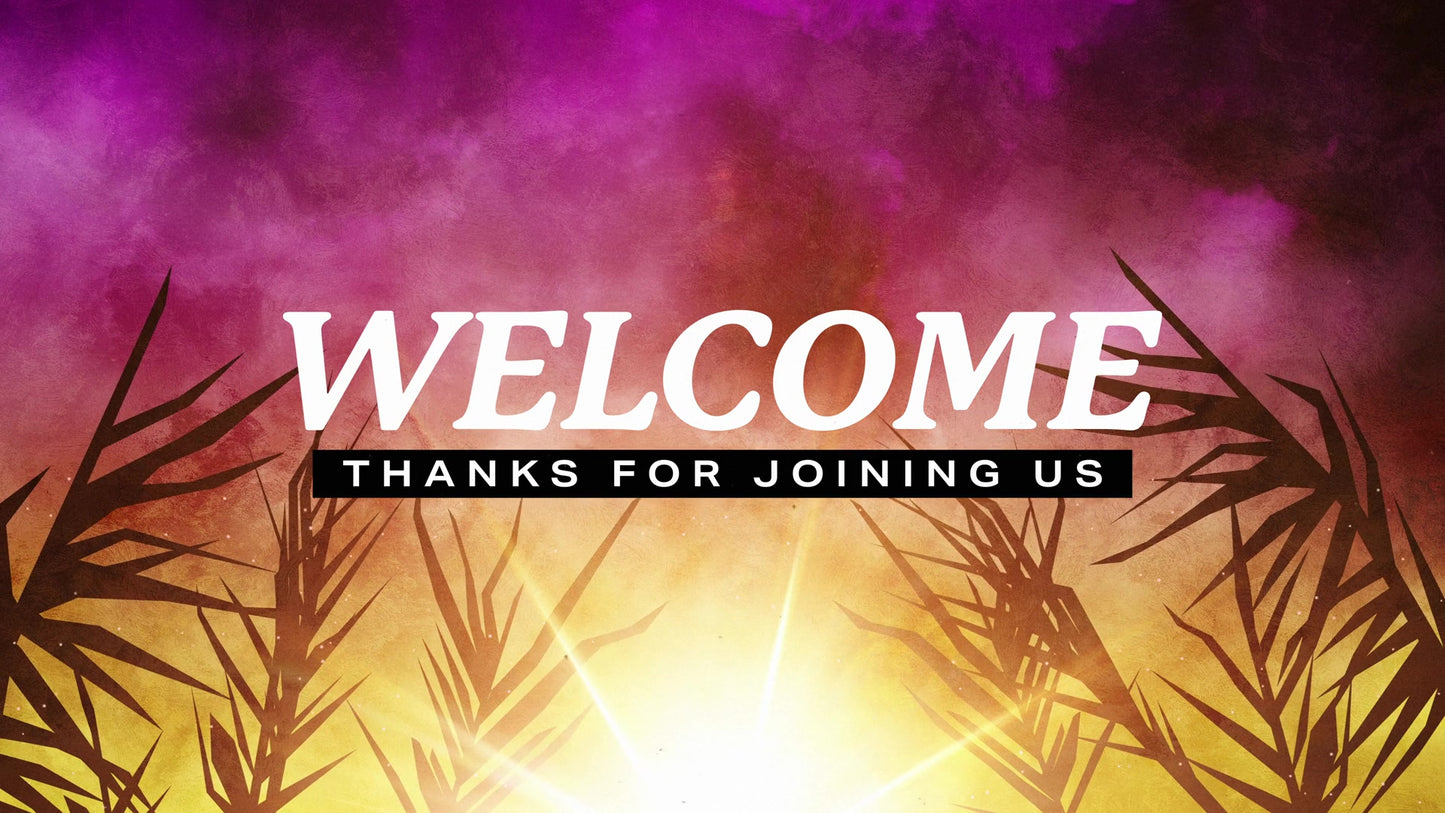 Bright Palm Sunday Welcome