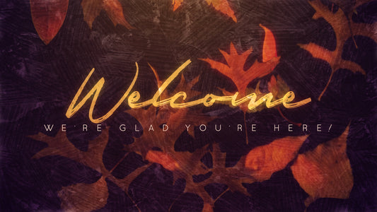 Fall Into Grace Welcome Still