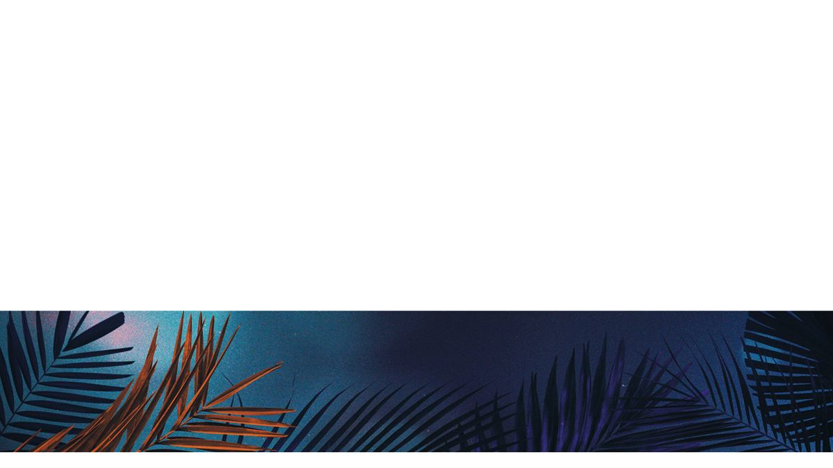 Vibrant Palms Lower Third 3