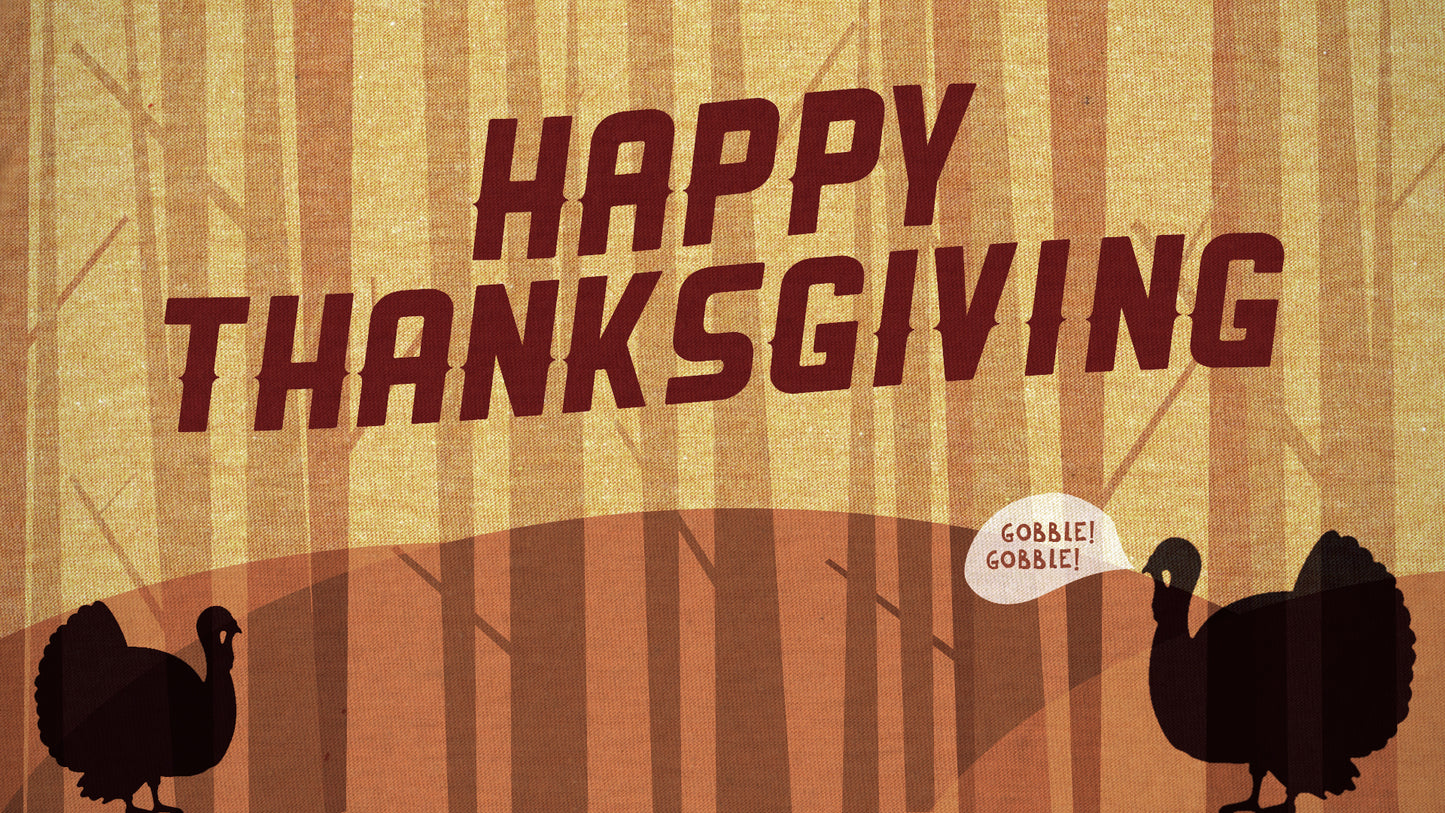 Turkey Day Turkeys