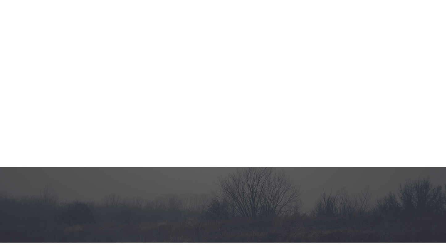 Bleak Beauty Lower Third Full 3