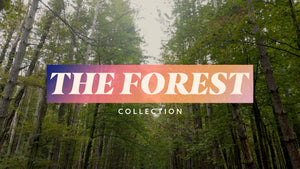 The Forest