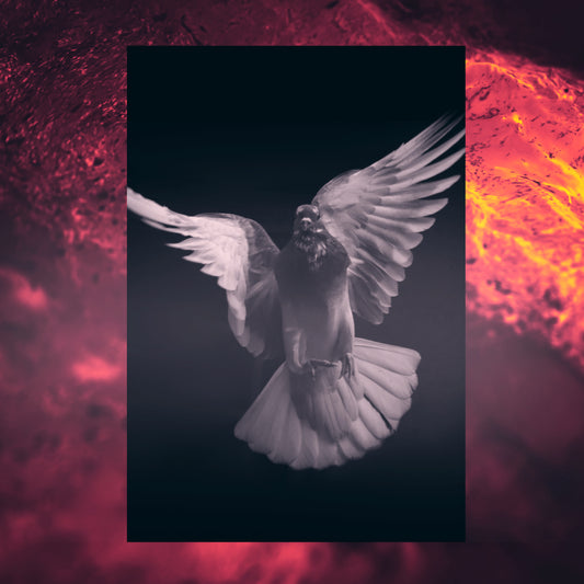 Holy Spirit Waters Blank