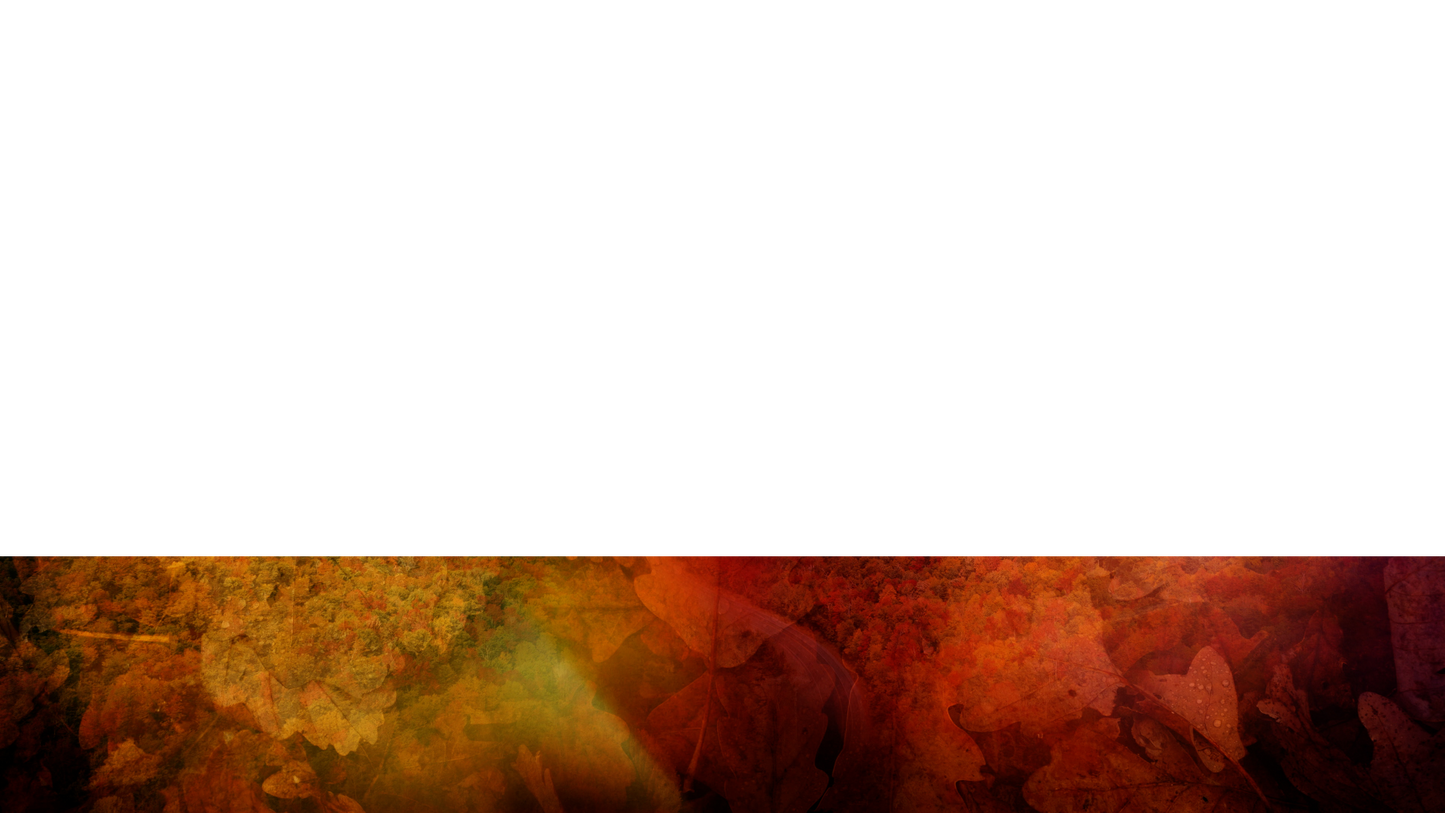 Subtle Fall Lower Third Full Blank Large