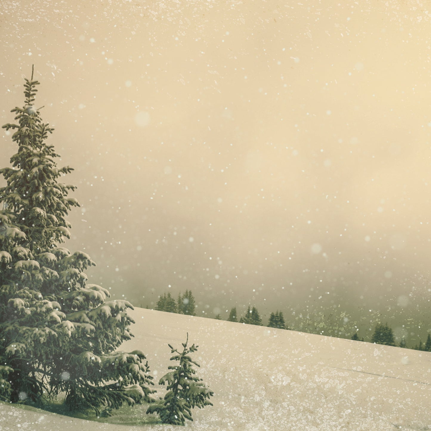 Season of Joy