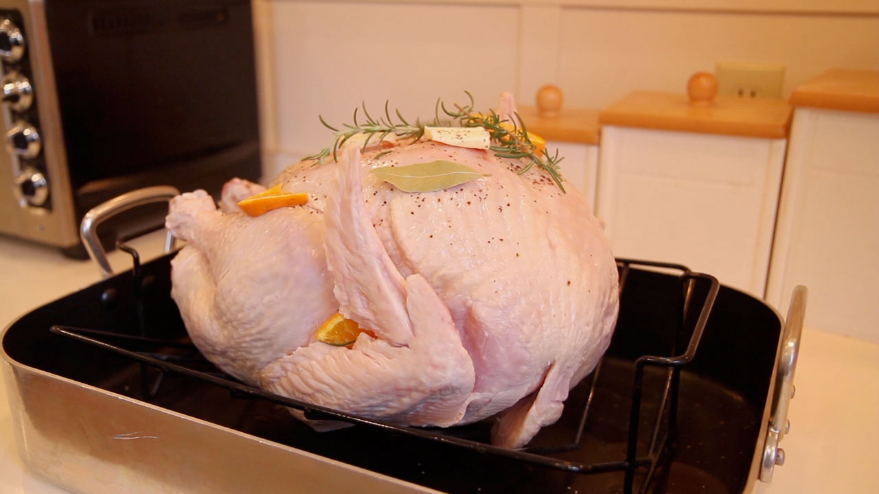 Turkey Talk