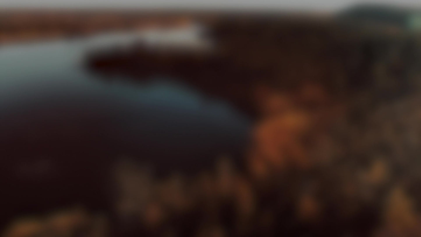 Soar Forest Blur