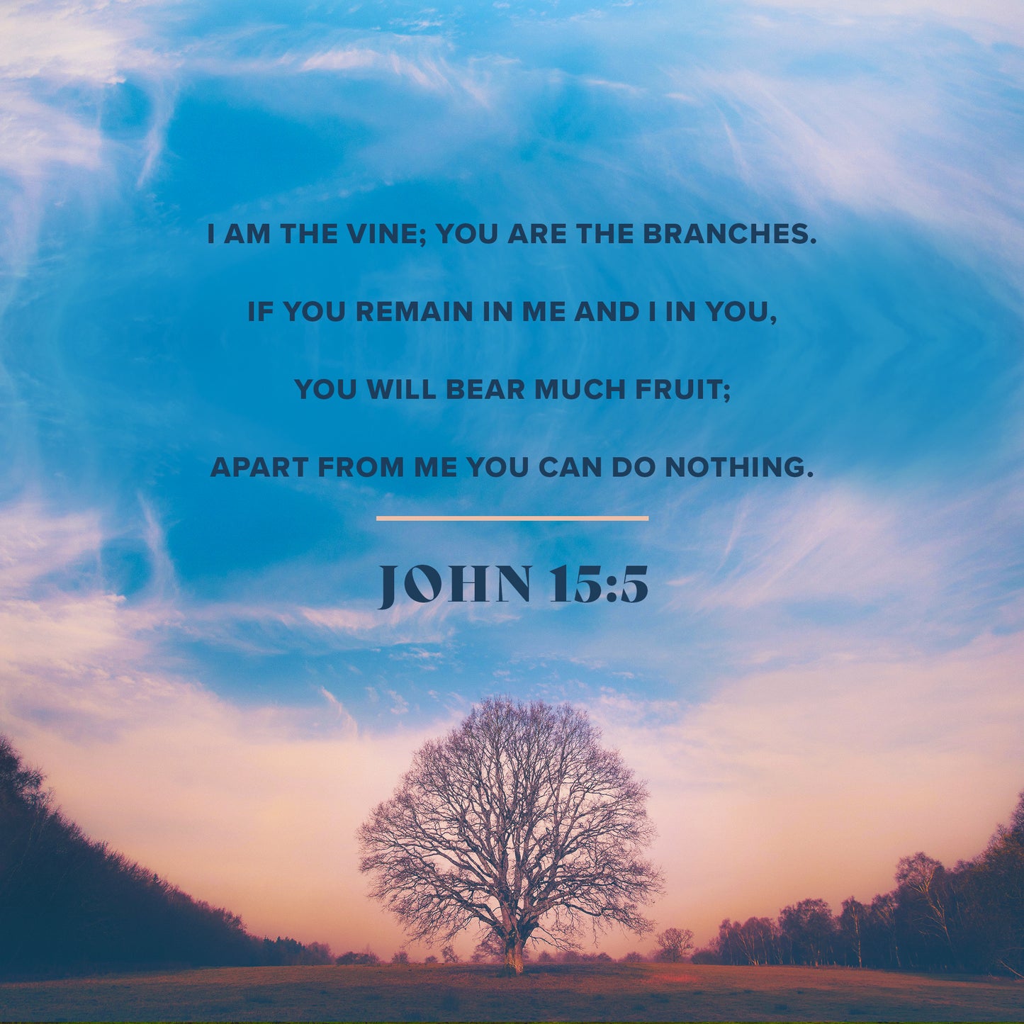 John 15:5
