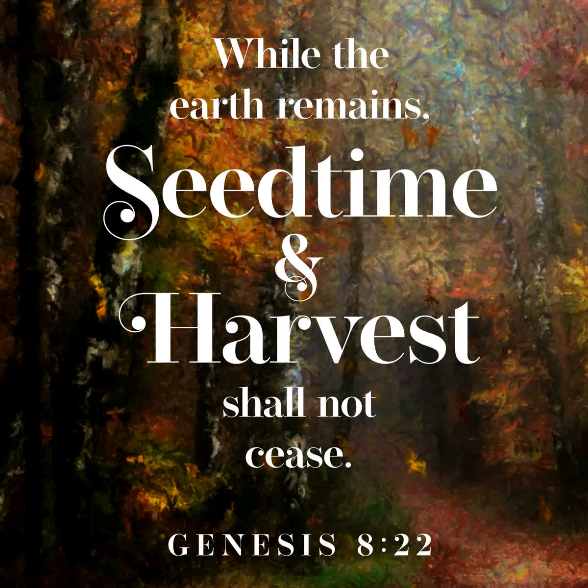 Autumn Vibes Scripture