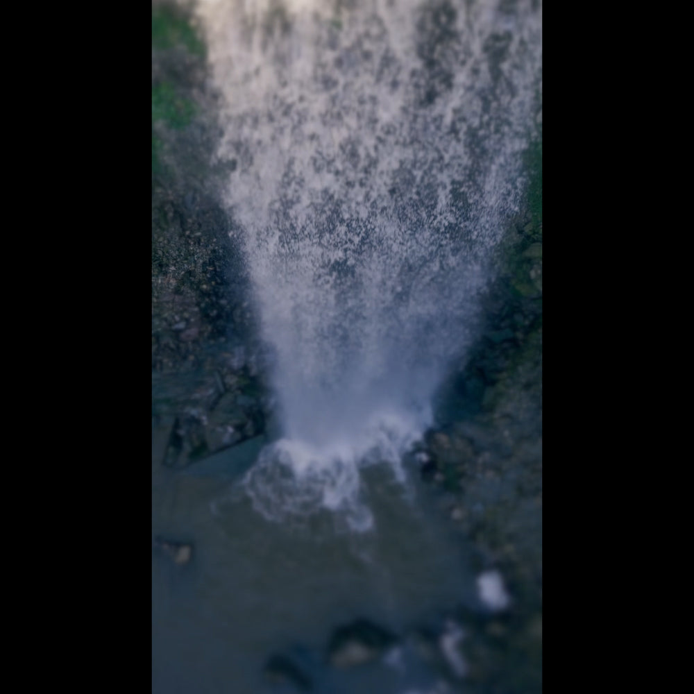 Nature's Force Online Blank Reel