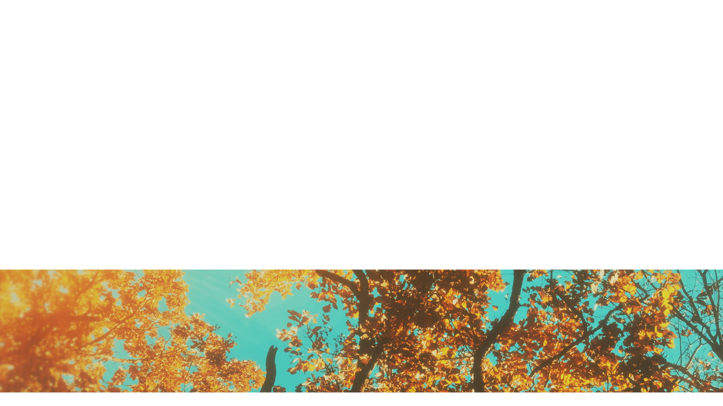 Autumn Canopies Lower Third 4