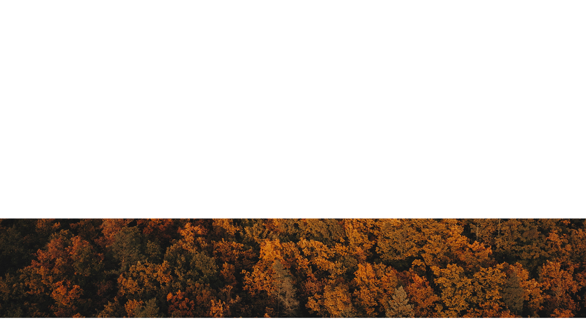 Autumn Foliage Lower Third 2