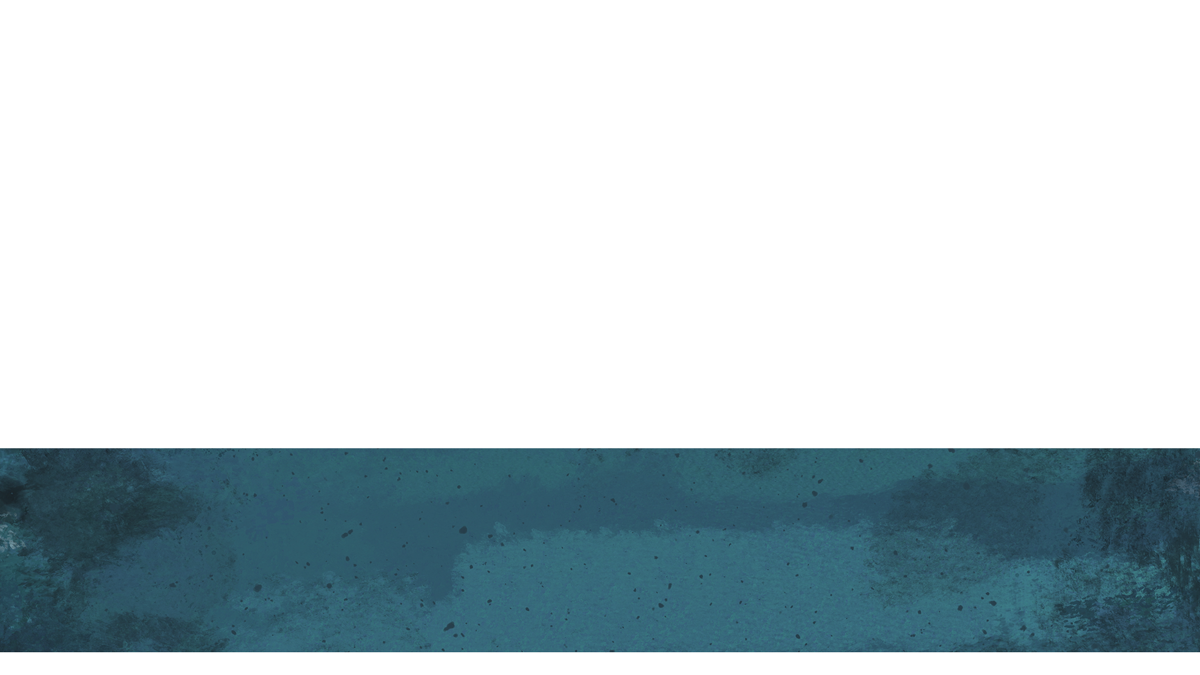 Lent Textures Lower Third 9