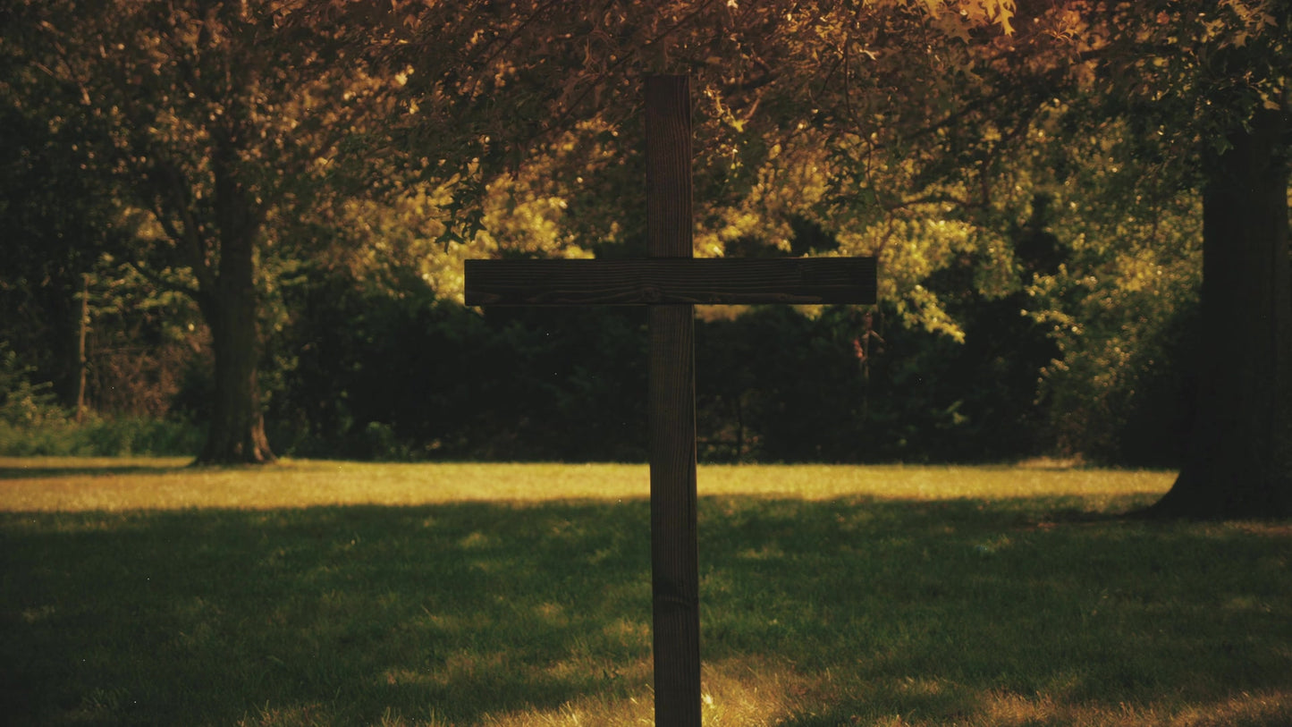 Nature Cross 7