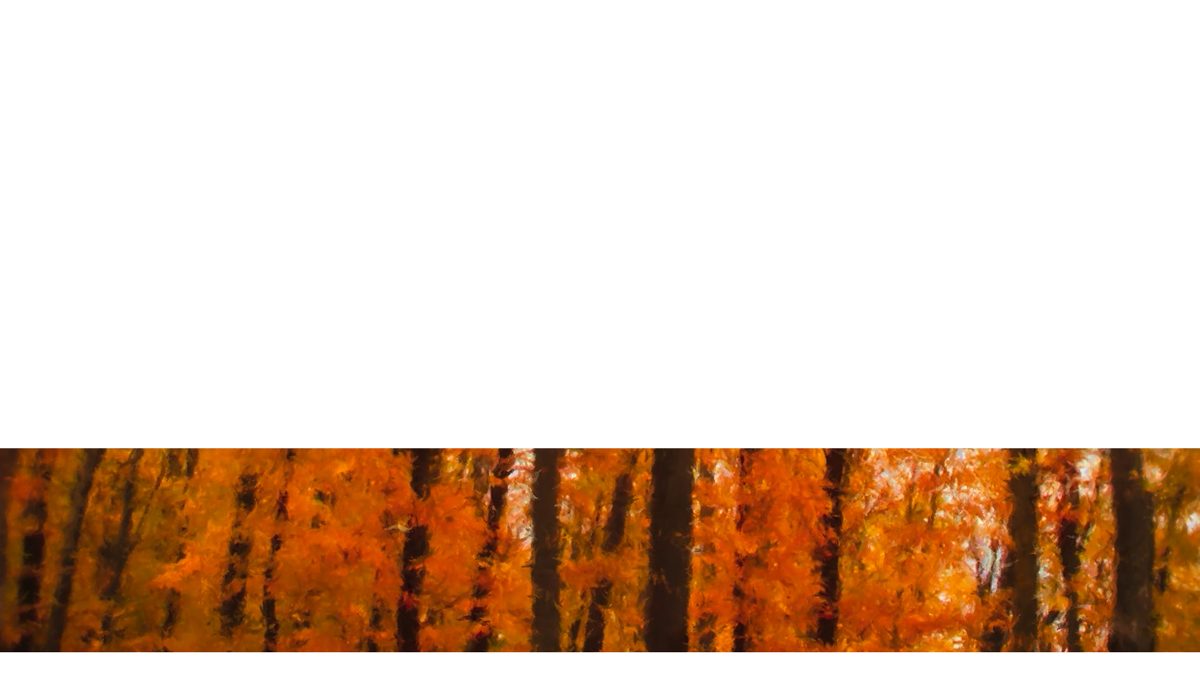 Autumn Vibes Lower Third 4