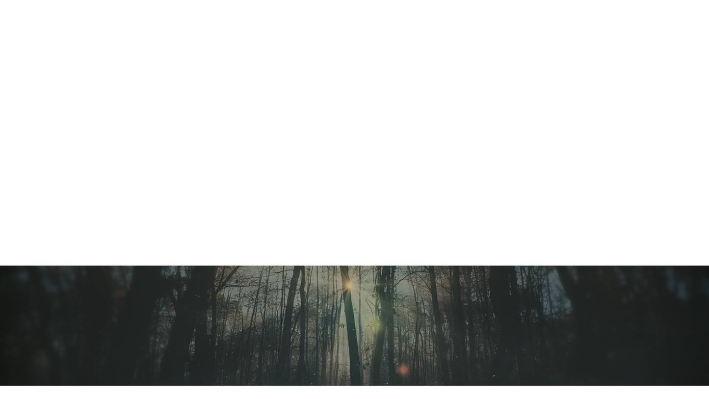 Moody Autumn Lower Third Full 3