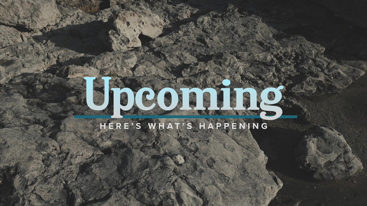 Northern Shores Upcoming